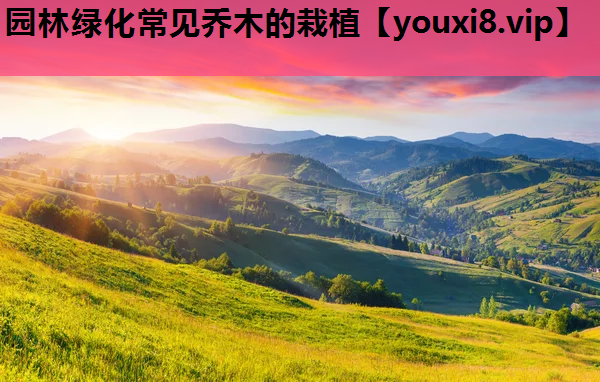 园林绿化常见乔木的栽植